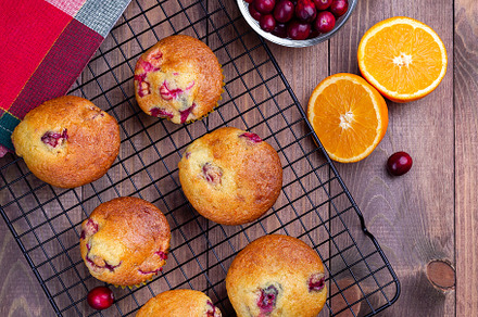 Cranberry orange muffins on cooling rack, square format, top view, a Food & Drink Photo by iuliia_n