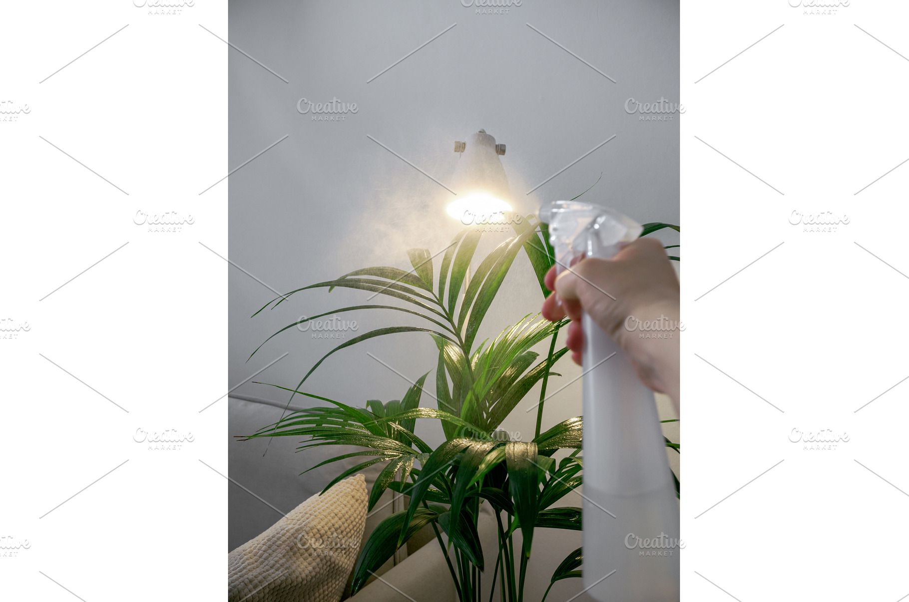 POV of plant care spraying, a Nature Photo by Fascinadora