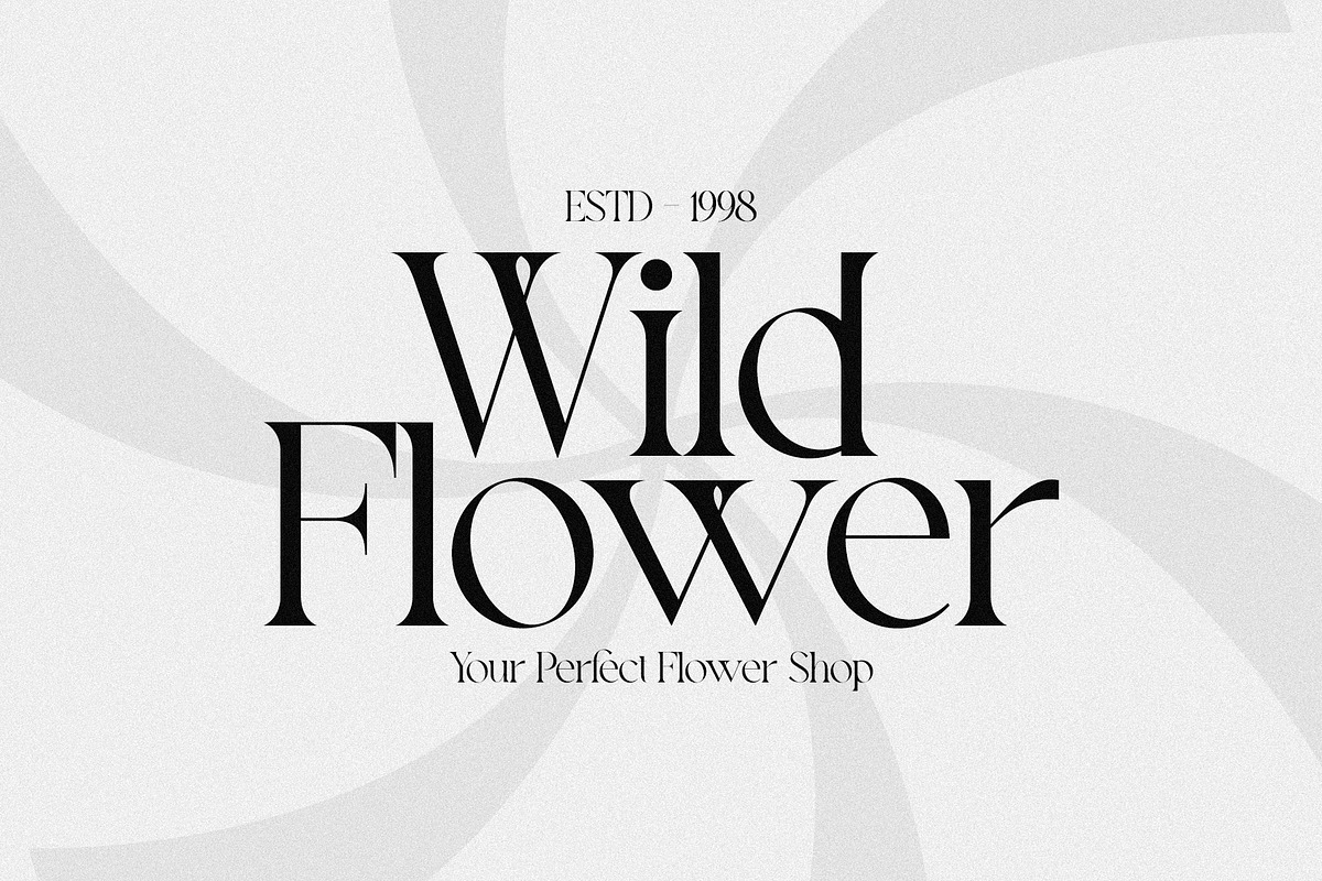 Pavilion - Elegant Display Serif, a Serif Font by spectertype (Photo 8 of 11)