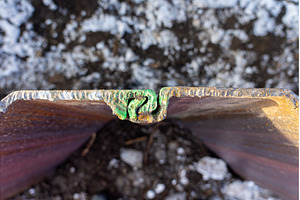 Sheet Pile Wall Locking System, an Industrial Photo by oliverfoerstner