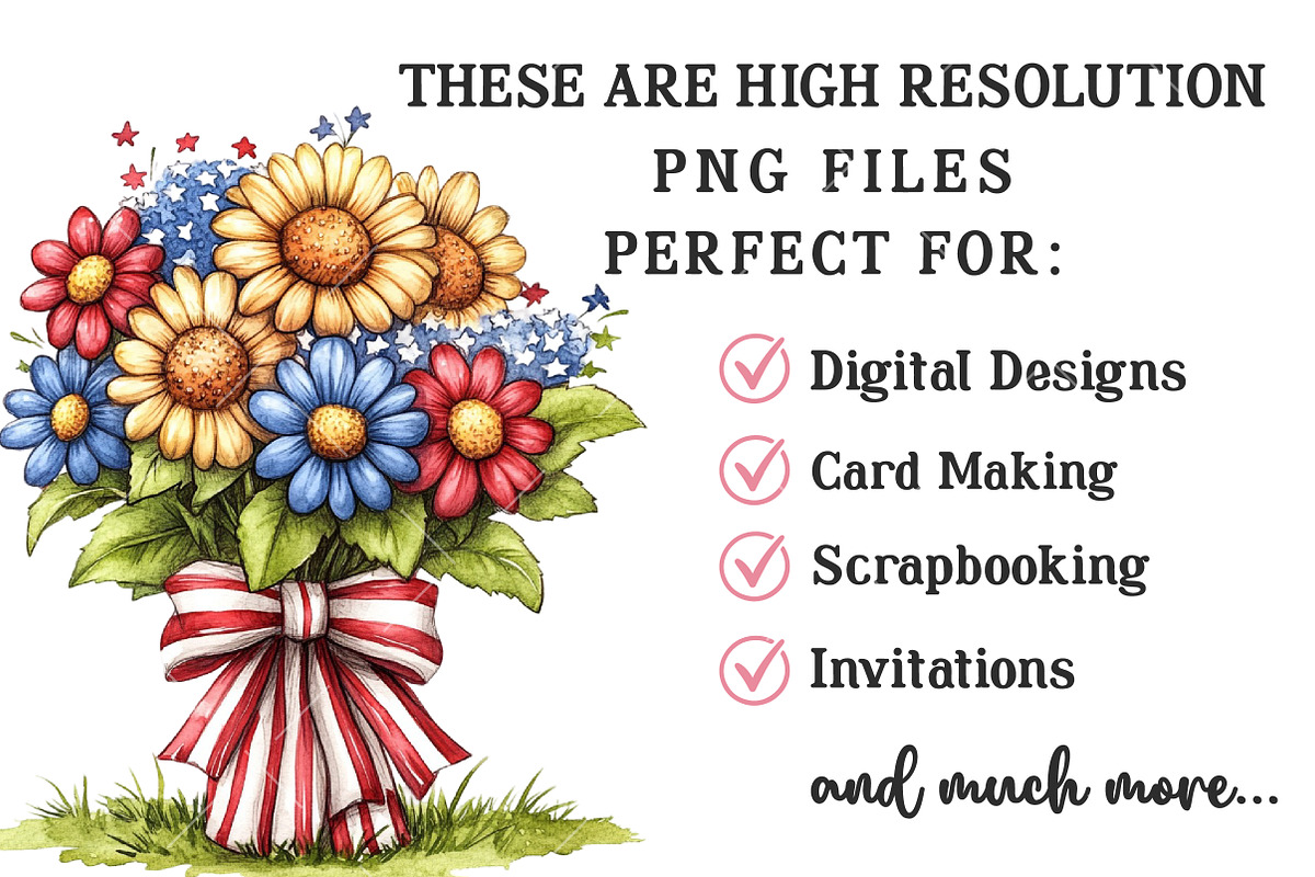 Americana 4th of July Clipart PNG, an Illustration by OK Design (Photo 4 of 6)