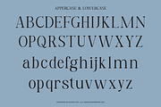 Bellarune Modern Elegant Serif Font, a Serif Font by Rasio Studio (Thumbnail 2 of 9)
