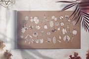 Touch of Nature Collection, a Decorative Illustration by Michael Rayback Design (Thumbnail 6 of 20)