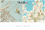 Stock Image Bundle, spring flowers, a Mockup by JAY MID IMAGE (Thumbnail 2 of 6)