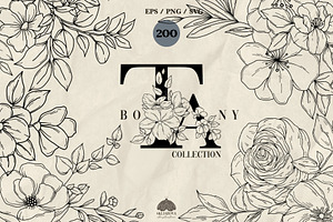 Botany Line Art Collection, a Decorative Illustration by Skliarova