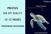 Coastal Summer Clipart PNG, an Illustration by SinaCreation (Thumbnail 4 of 5)