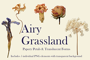 Airy Grassland — Papery Petals & Tra, an Object Graphic by Aga Silva (Thumbnail 5 of 7)