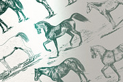 Vintage Horses, an Illustration by Retro Machine (Thumbnail 4 of 5)