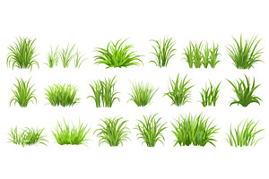 Isolated green grass bunches. Spring, an Object Illustration by Valerie Bodnar