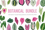 Botanical bundle. Begonia leaves, a Pattern Graphic by Nastasi (Thumbnail 1 of 4)