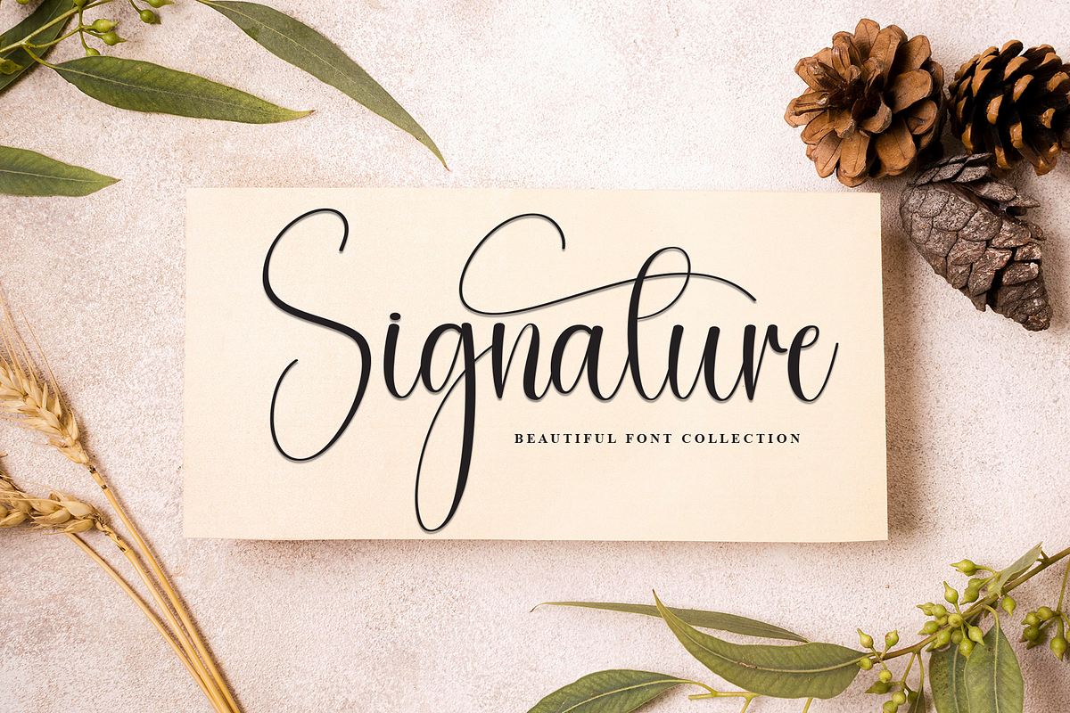 Chemistry | Script Font, a Handwritten Font by Scratchones (Photo 5 of 9)