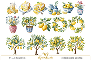 Watercolor Lemon Clipart Bundle, an Illustration by MockupWizard (Thumbnail 2 of 6)
