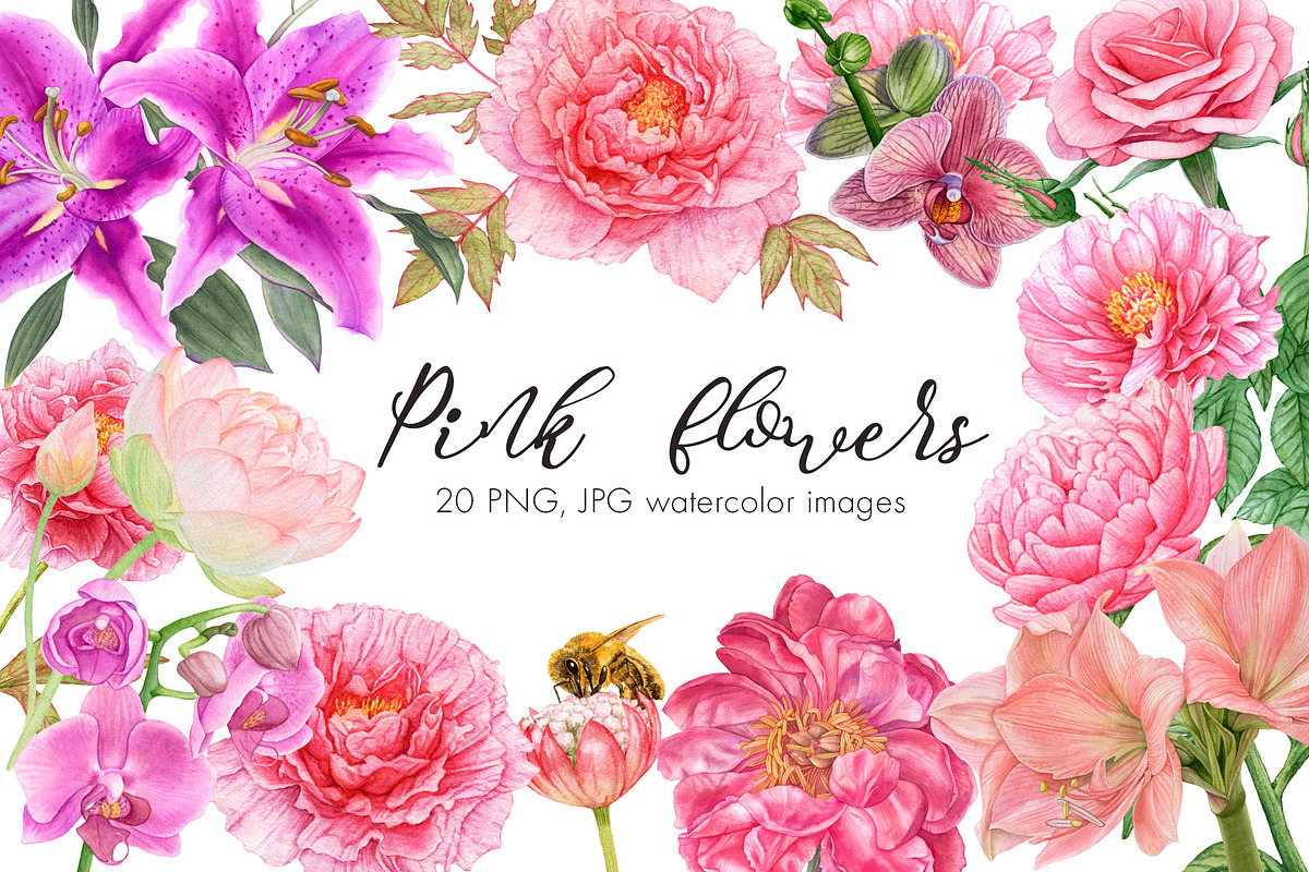 Watercolor Pink Flowers, an Illustration by Katya Zlobina (Photo 1 of 9)
