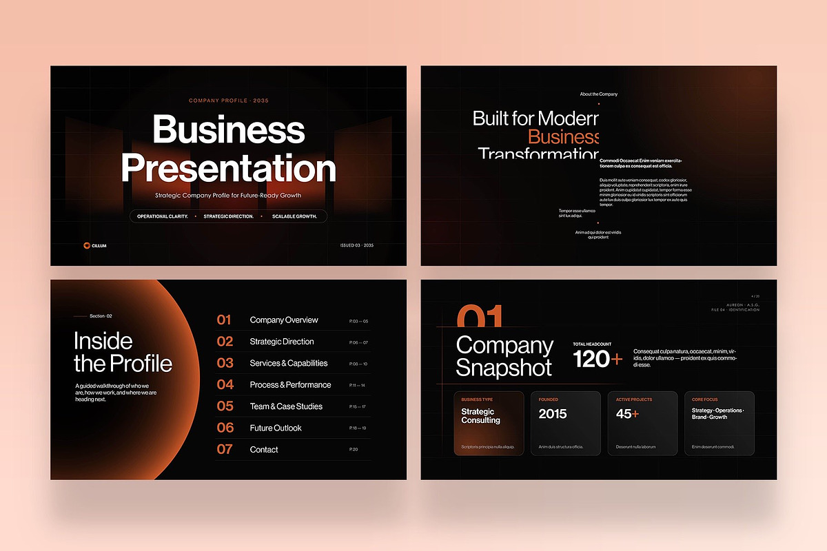 Business Presentation Template, a Presentation Template by BrandPacks (Photo 2 of 7)