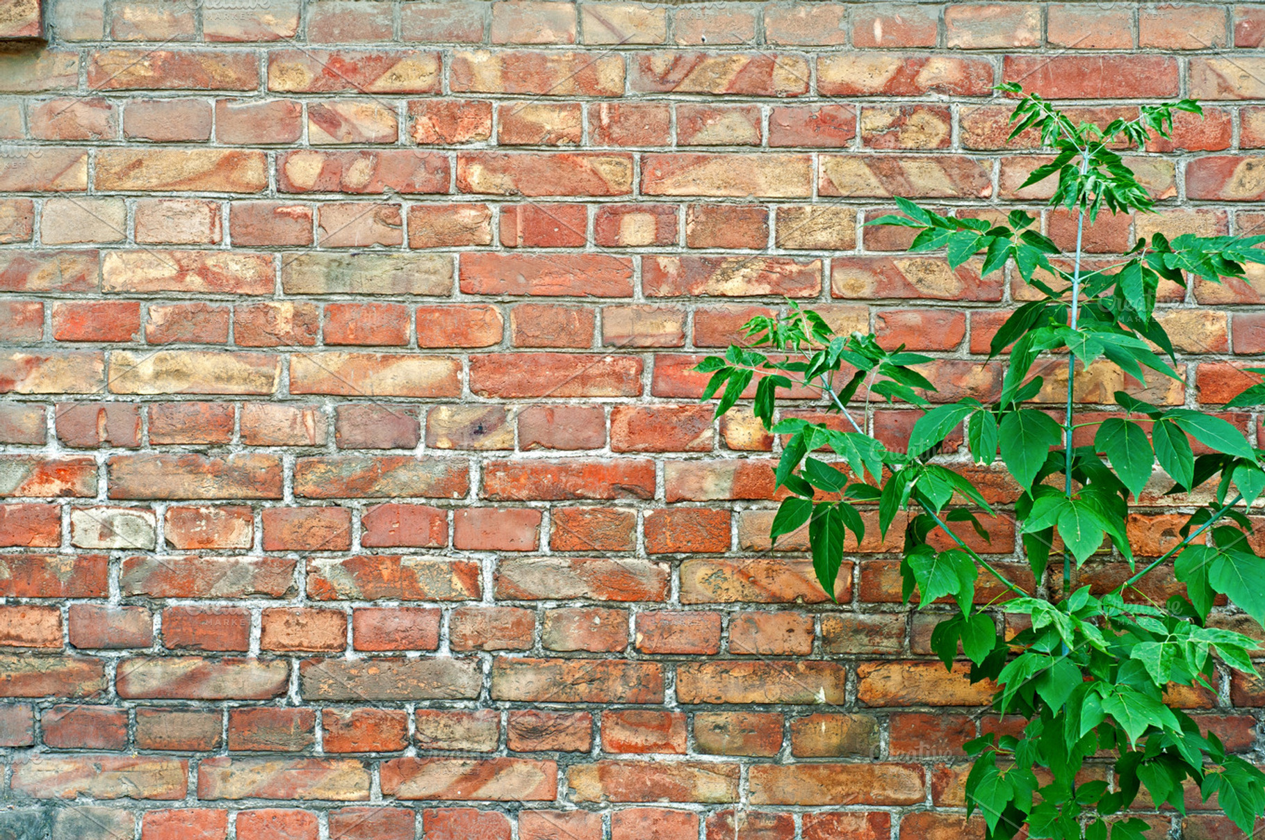 Red Bricks And Green