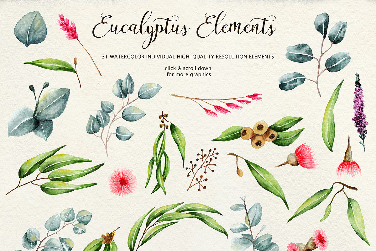 Eucalyptus Collection+Letter, a Decorative Illustration by Astarte_design (Photo 2 of 11)