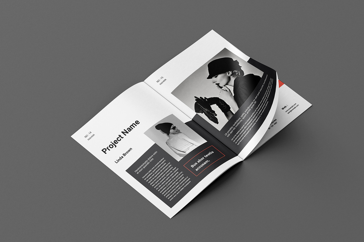 Design Portfolio Layout Template, a Magazine Template by Seeing-art (Photo 8 of 11)