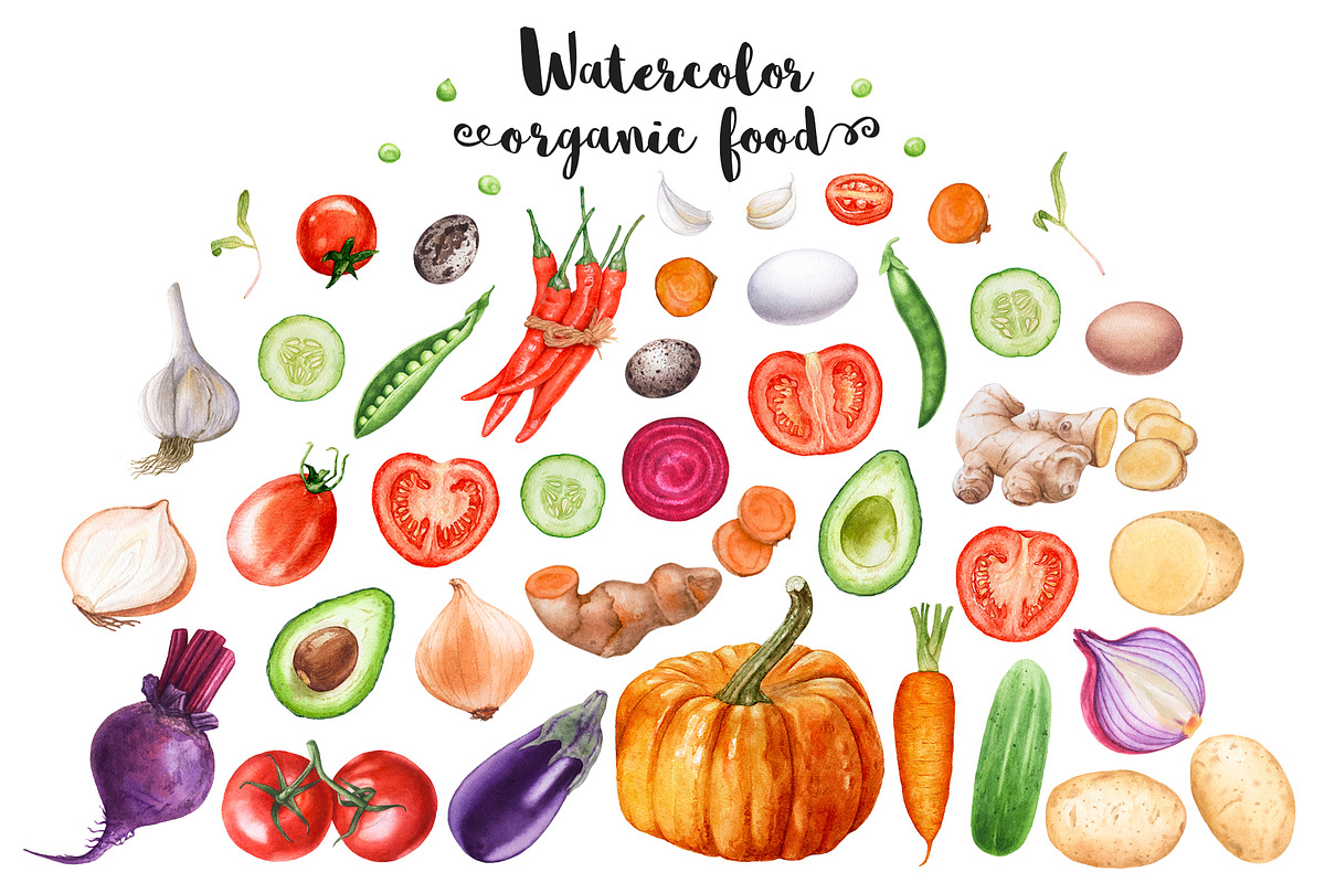 Watercolor organic food, a Food Illustration by Katya Zlobina (Photo 1 of 9)