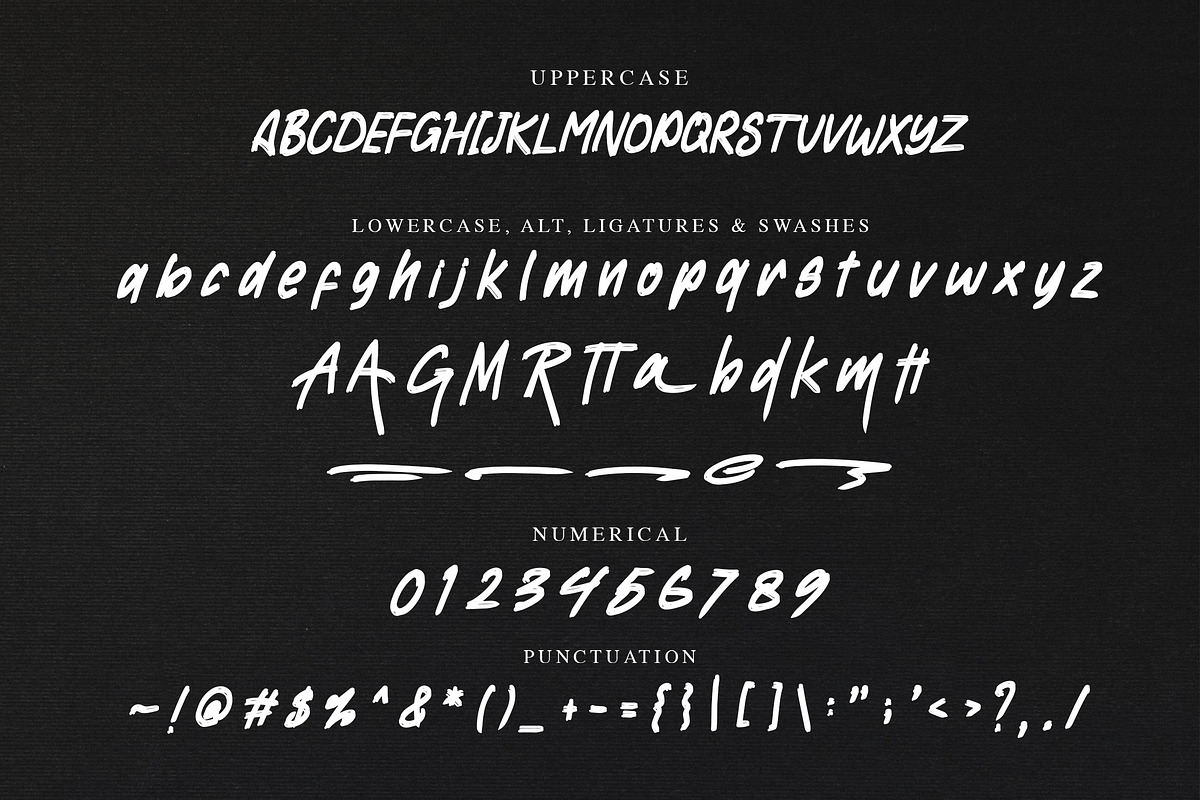 RAGAM GARIS - Brush Font, a Script Font by NTC Graphic (Photo 8 of 9)