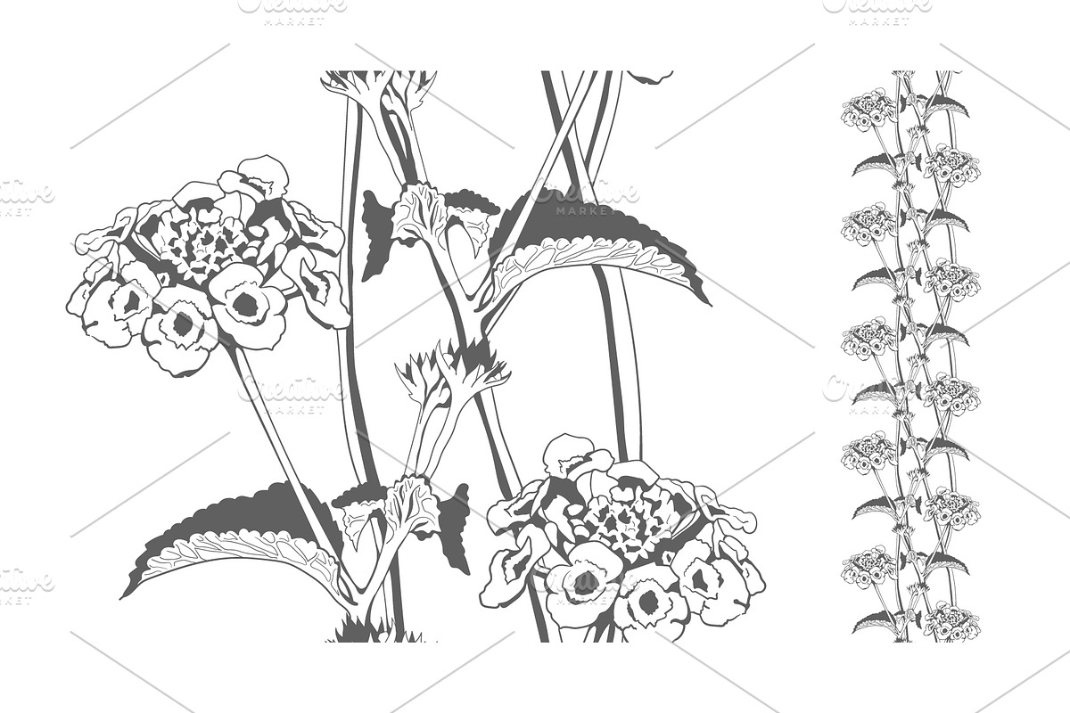 Wild Herbal Seamless Pattern, a Pattern Graphic by Plaid4You (Photo 3 of 13)