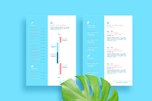 Finne CV And Portfolio Design