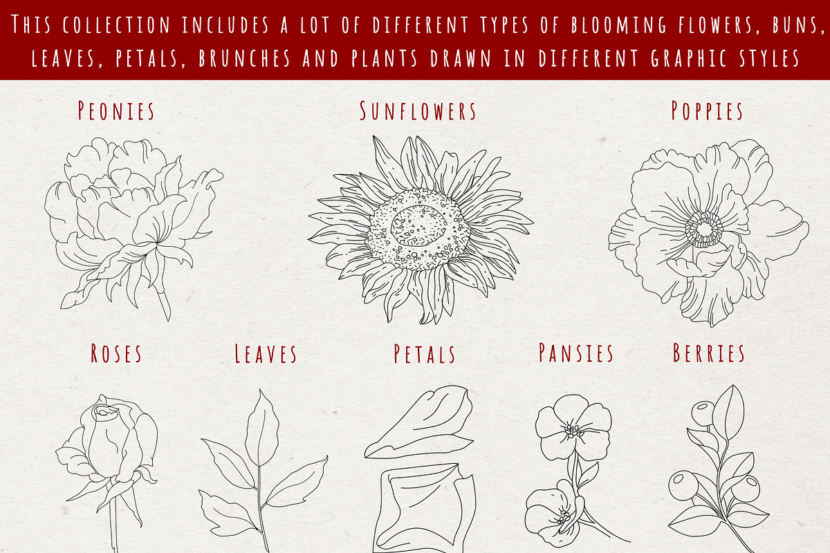 Flowers and Bows graphic line art, a Decorative Illustration by Nataly_is_Drawing (Photo 4 of 11)