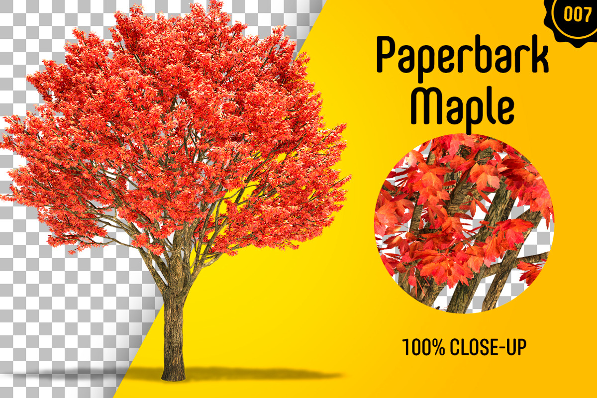 CUT OUT TREES - 60 PCS BUNDLE, a Packaging Mockup by 3DSTORE (Photo 8 of 63)