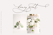 Darling Modern // Luxury Font, a Script Font by PeachCreme (Thumbnail 26 of 29)