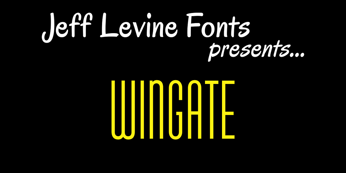Wingate JNL, a Sans Serif Font by Jeff Levine Fonts