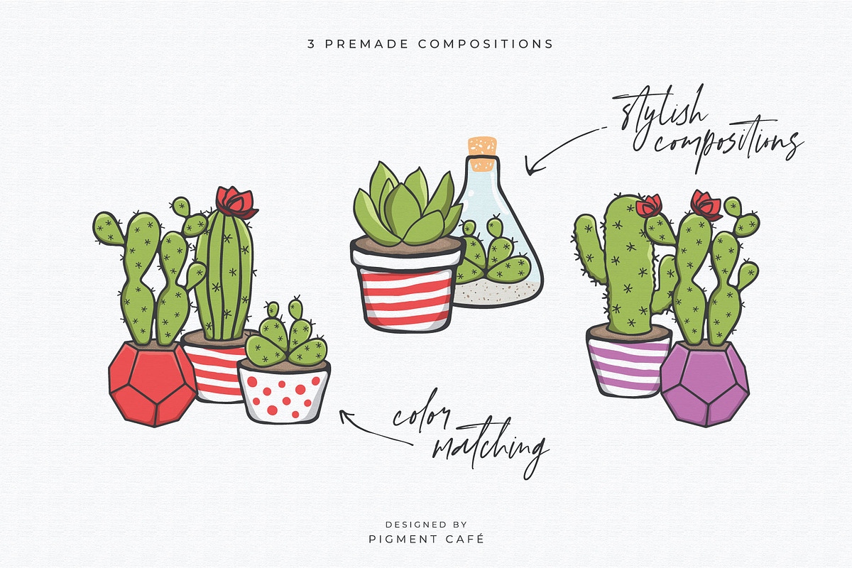 Cacti & Succulents Graphics Bundle 2, a Decorative Illustration by Pigment Café (Photo 5 of 8)