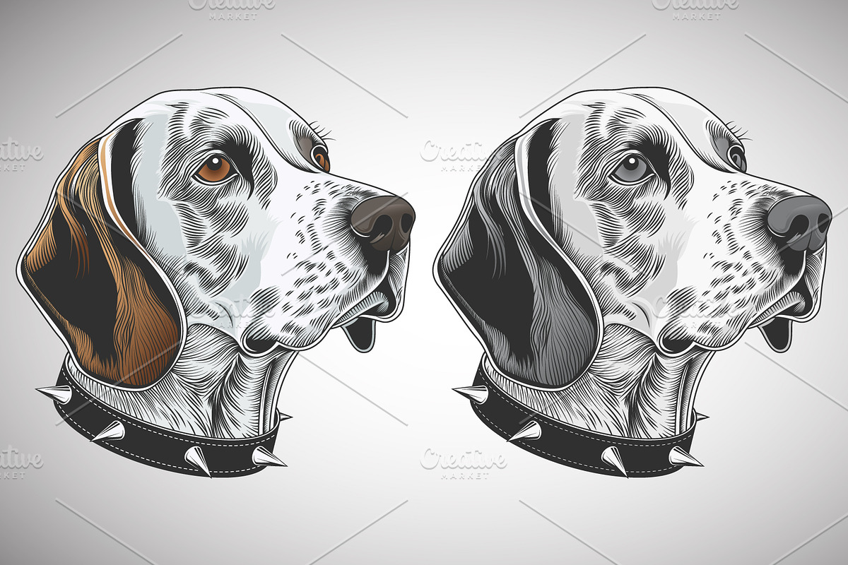 Bloodhound Dog Portrait Vector, an Animal Illustration by Ghagra (Photo 1 of 4)