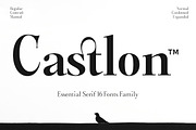 Castlon | 16 Fonts, a Serif Font by Skinny Type (Thumbnail 1 of 10)