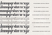 The New Memory, a Serif Font by TM Type (Thumbnail 16 of 17)