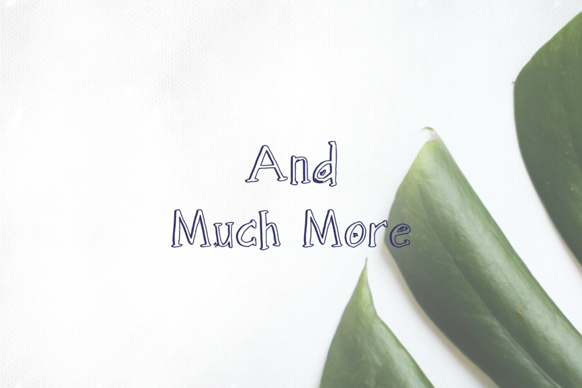 Alpha Anggela - 18 Font styles, a Script Font by Gblack Id (Photo 11 of 13)