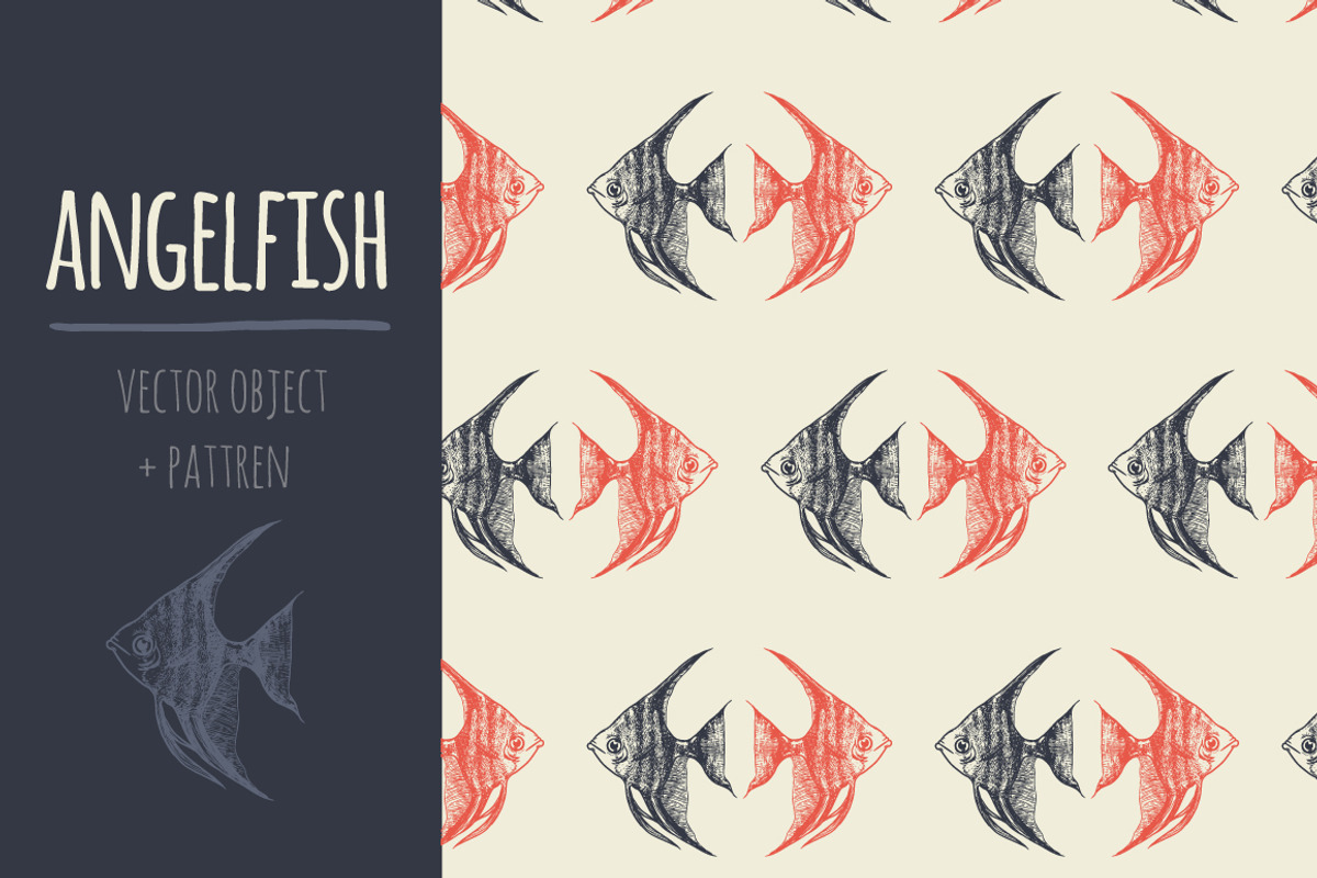 sketch angelfish, an Illustration by adi katz (Photo 2 of 2)