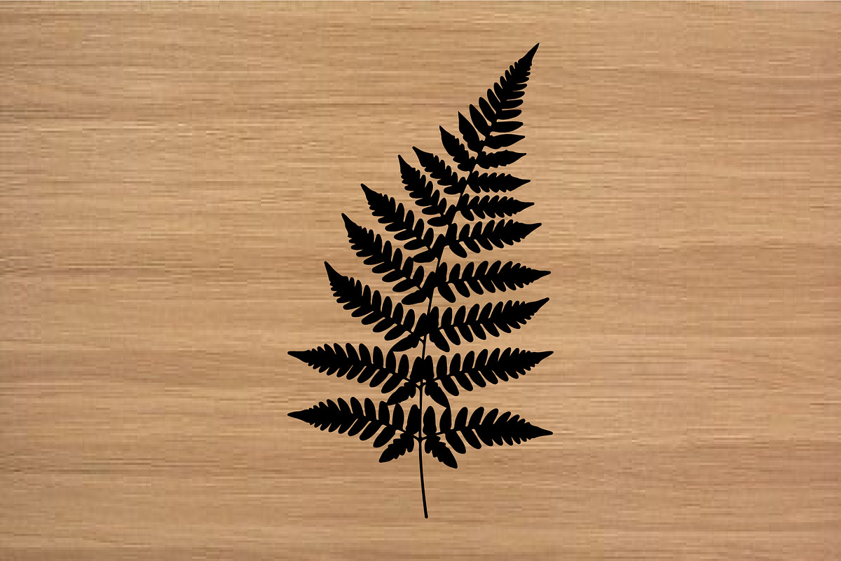 Fern Leaf Silhouette PNG Vector Set, an Object Illustration by Amazin_art (Photo 3 of 4)