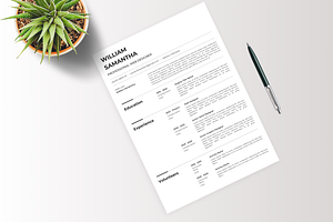 Professional Resume Template - CV