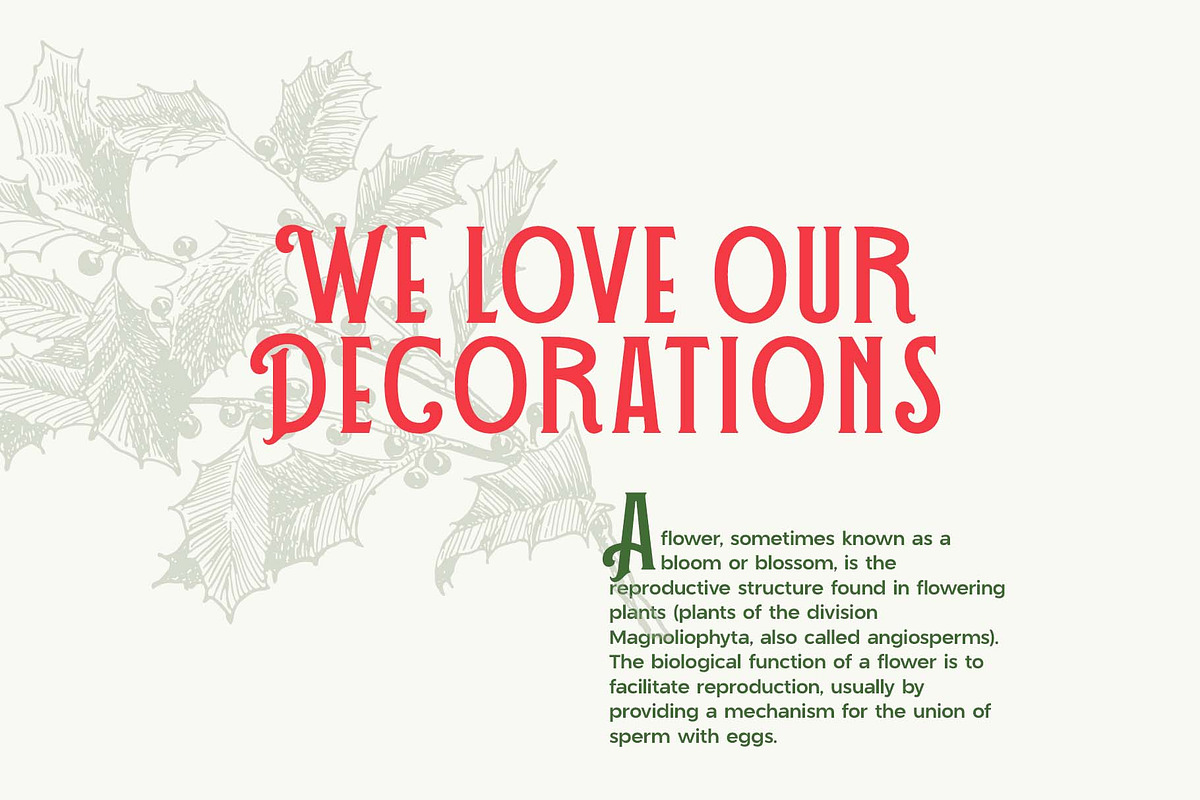 The Christmas Font Duo – Elegant & F, a Font by Headfonts (Photo 7 of 10)