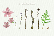 Botanical Watercolor, an Illustration by Jukari_sun (Thumbnail 2 of 4)