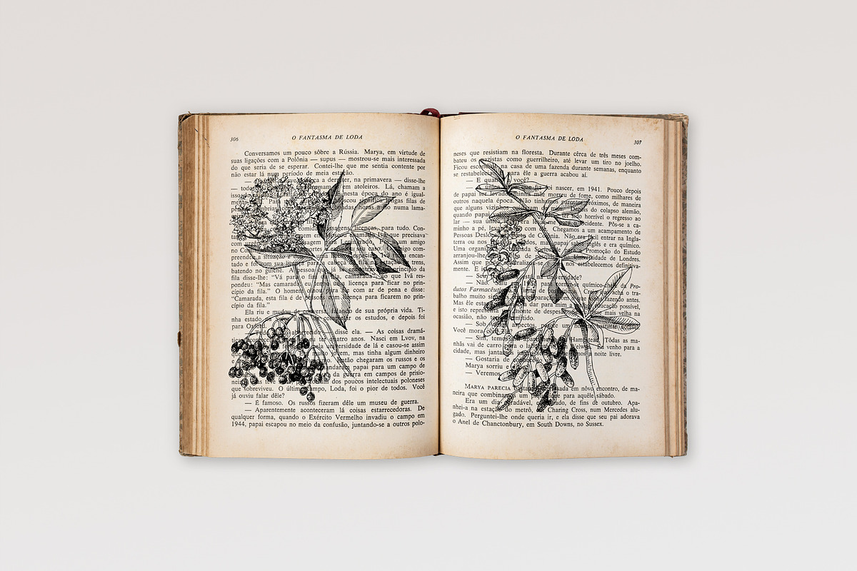 Medicinal plants collection, a Healthcare Illustration by handsketched (Photo 9 of 9)