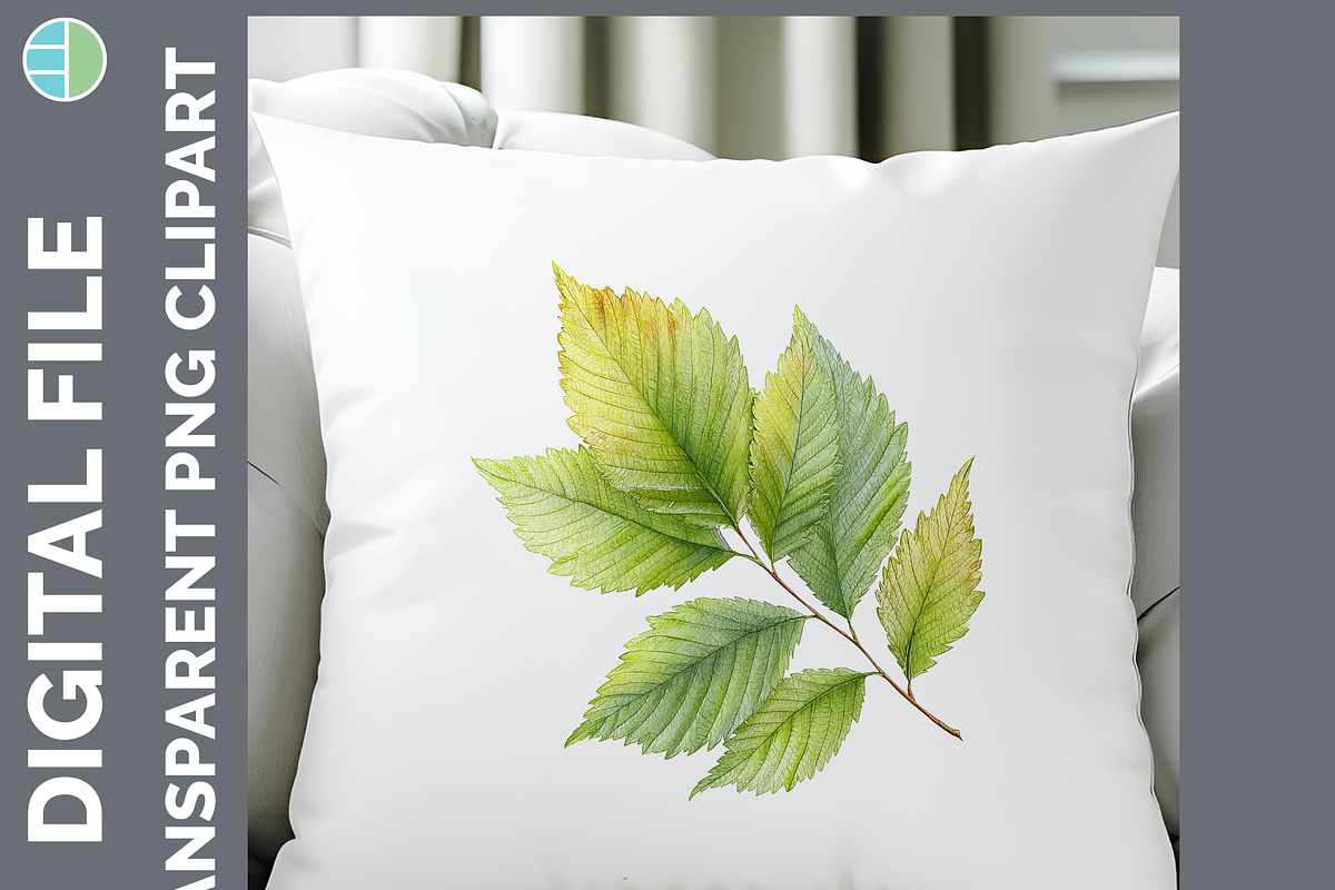 Leaf Illustration Bundle, 20 PNG, a Decorative Illustration by Enliven Designs (Photo 8 of 8)