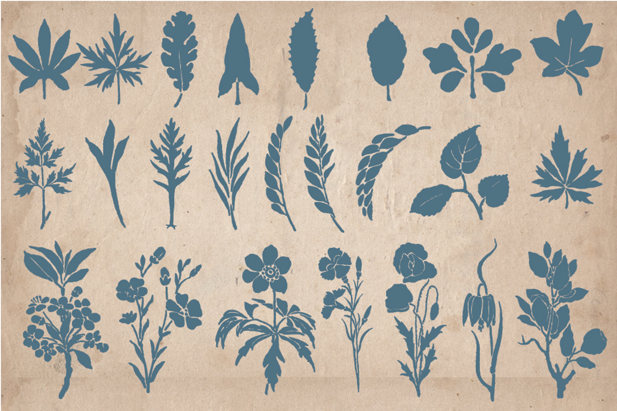 205 Floral Objects, an Object Graphic by Mr Vintage (Photo 5 of 5)