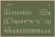 Vailnoise - Classic Vintage Serif, a Serif Font by Typia Nesia (Thumbnail 3 of 16)