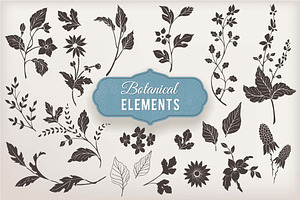 Hand Drawn Botanical Vector Elements