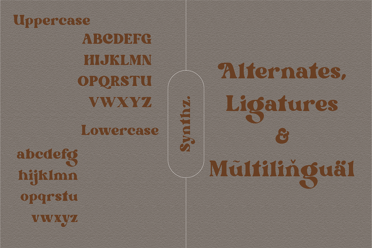 Gustafsson, a Serif Font by Portion.Labs (Photo 11 of 11)
