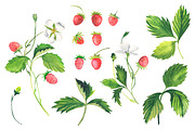 Strawberry wreath. Watercolor, an Illustration by Olga Bonitas (Thumbnail 6 of 6)