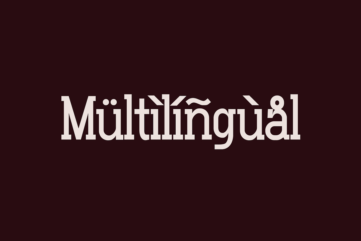 Gluttoner Vintage & Bold Slab Serif, a Serif Font by Lettertype Studio (Photo 13 of 15)