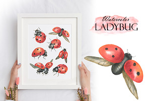 Watercolor Ladybug