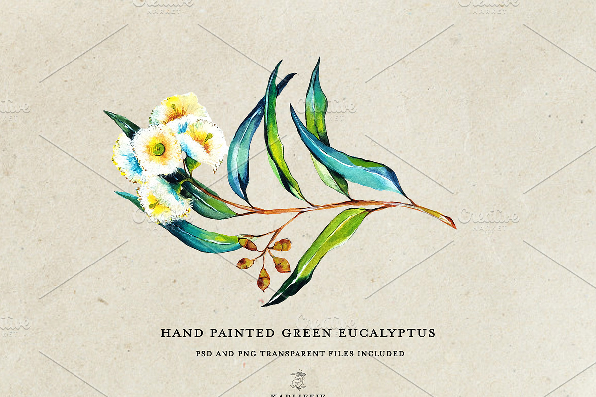 Watercolor Eucalyptus, a Decorative Illustration by Karliefie (Photo 4 of 4)