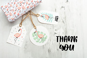 Flamingo hand-drawn collection, an Animal Illustration by Samsonchik Store (Thumbnail 7 of 7)